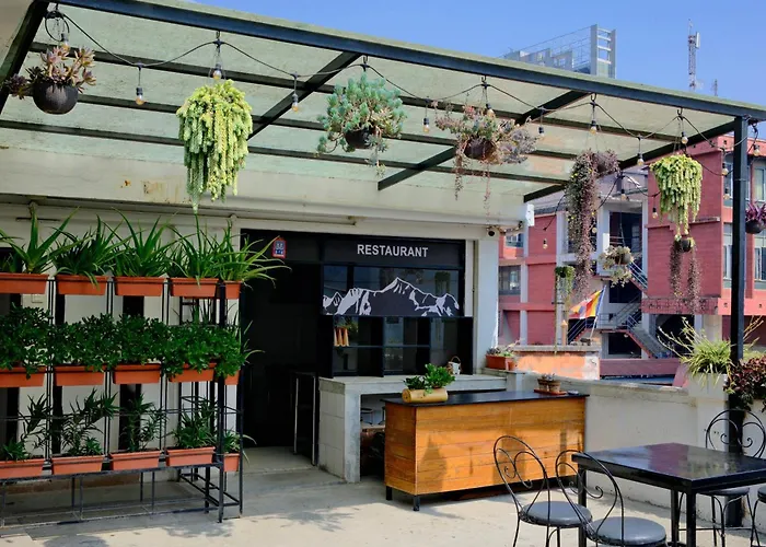 Hostel: Yakety Yak Hostel