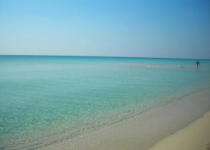 La Palude del Conte