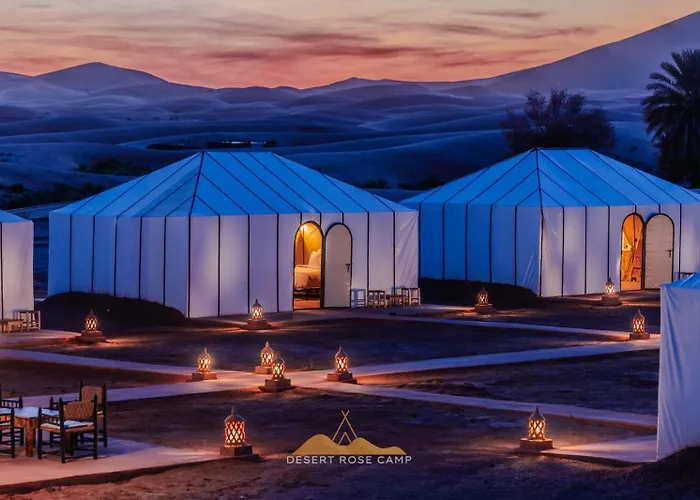 Desert Rose Camp