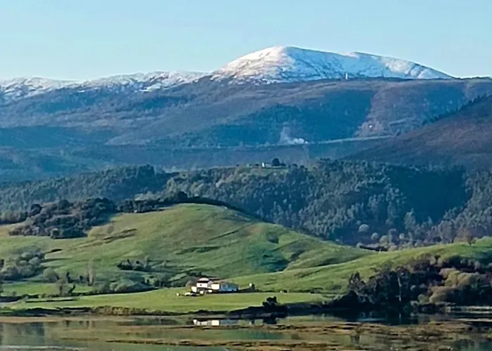 Buena Vista