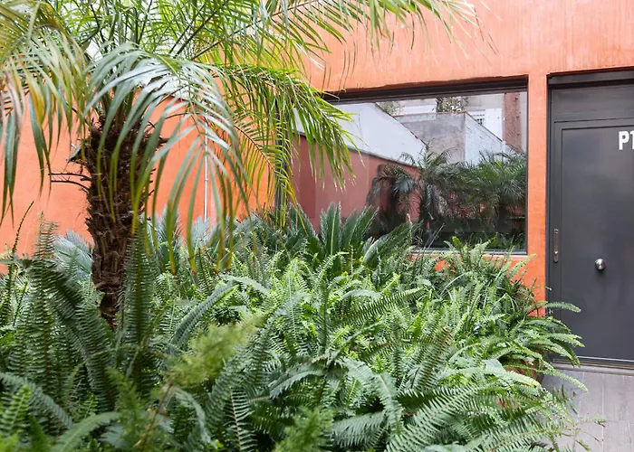 Enjoybcn Patio de Gracia