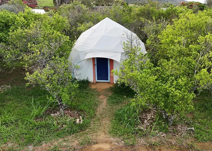 La Pacha Hostel
