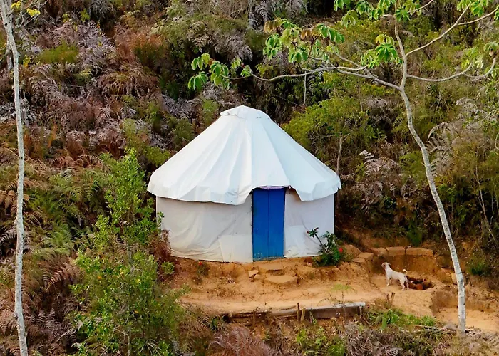 La Pacha Hostel