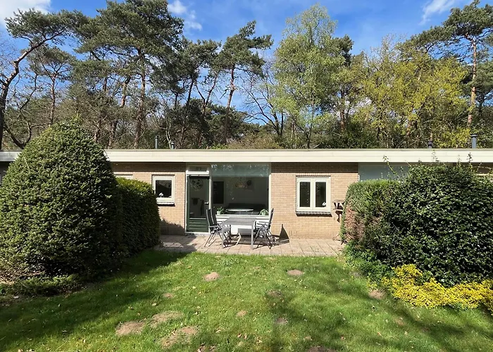 Villa: Modern natuurhuisje midden in het bos op de Veluwe - Beau Home