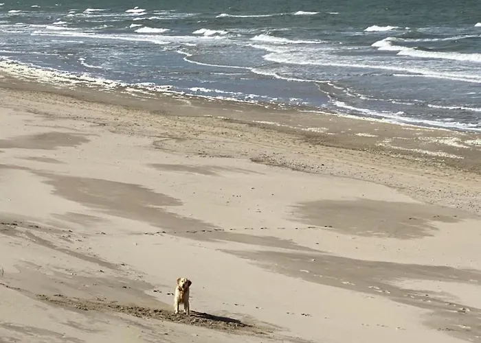 Lichtdurchflutetes Traumhaus 400 Meter zum Strandaufgang, uneinsehbarer Garten mit Terrassenüberdachung, hundefreundlich