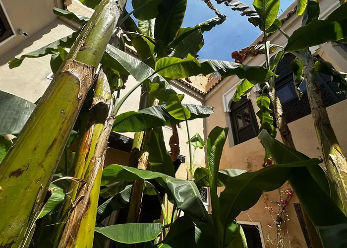 Riad Bamileke