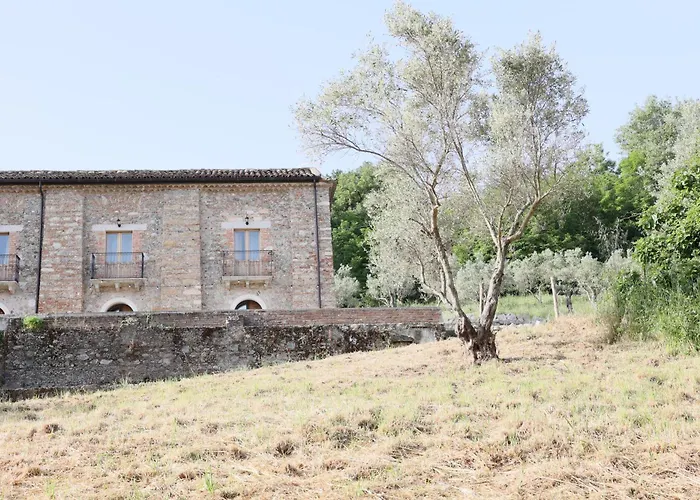 B&B Italia Rende