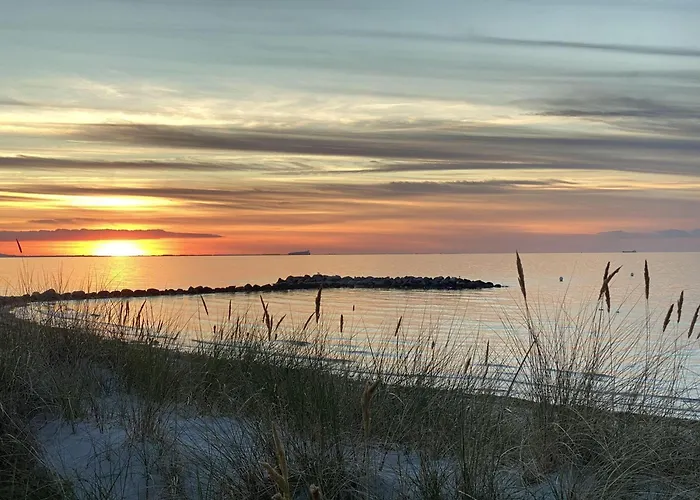 FeWo Kuestenliebe direkt am Strand mit eingez Garten