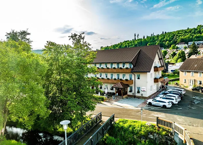 Günstiges Hotel: Hotel Restaurant Schwörer
