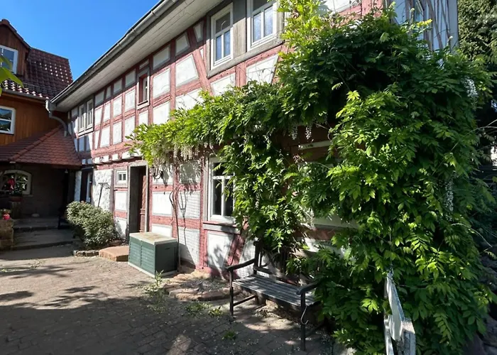 Bergfohlenhof