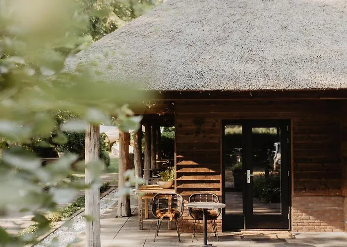 3 sterren hotel: Mollenvlied