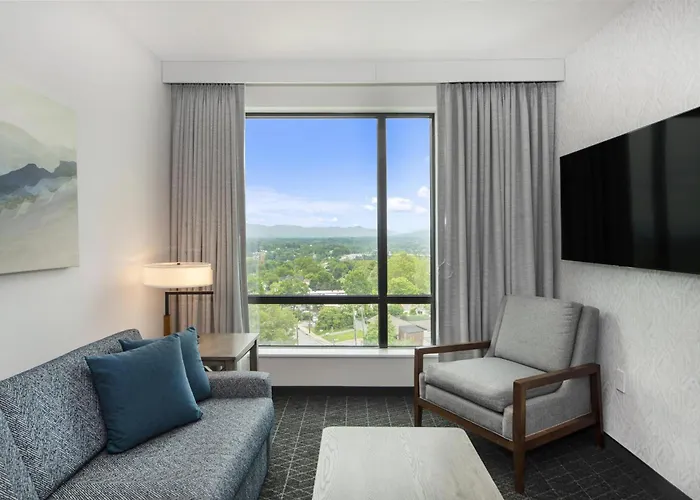 Embassy Suites By Hilton Asheville Downtown