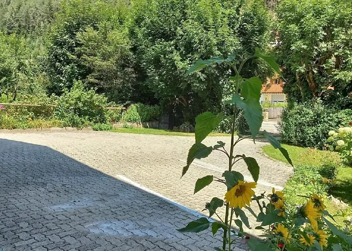 Apartments Steger Sand In Taufers Campo Tures