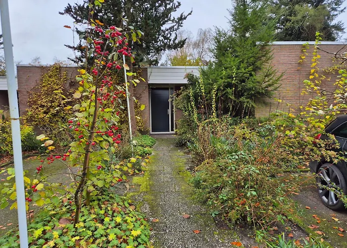 Hof Van