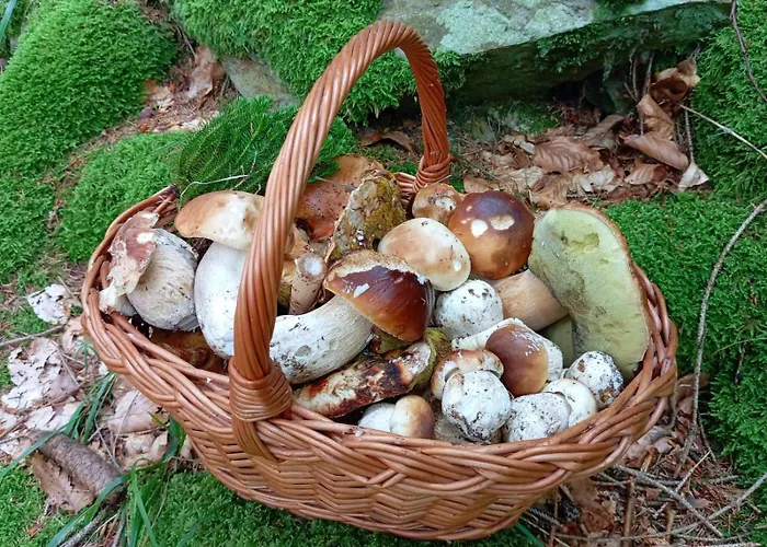 Appartamento finestra sul parco