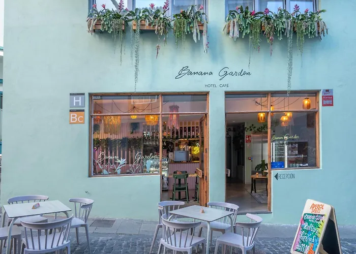 Banana Garden La Palma