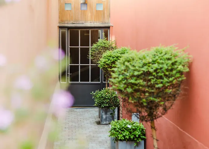  B&B Asinello