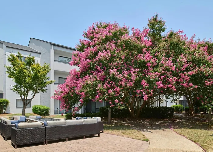 Courtyard Charlotte Arrowood