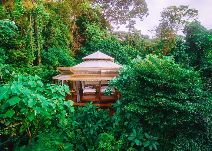 La Loma Jungle Lodge And Chocolate Farm