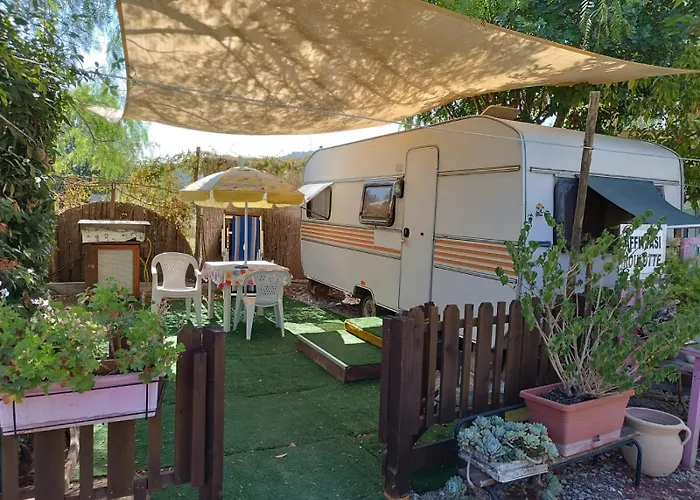 La Volpe Di Agropoli