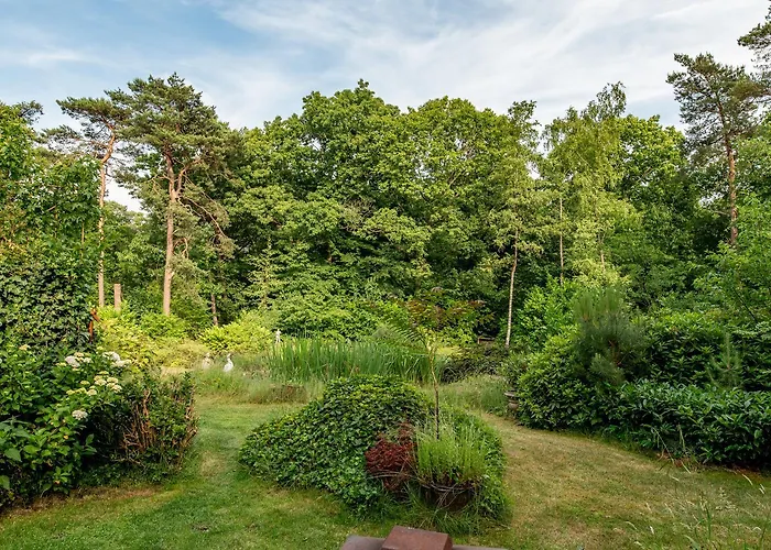 B&B De Hinne