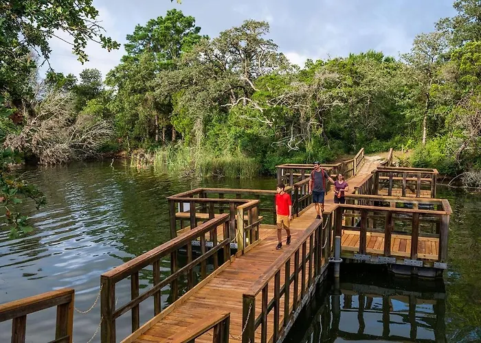 Lakeside Oeoed Mirror Cabin #2- Austin Nature Stay
