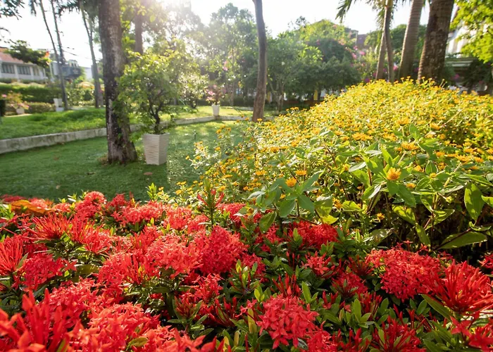 4 star hotel: Emm Hotel Hoi An