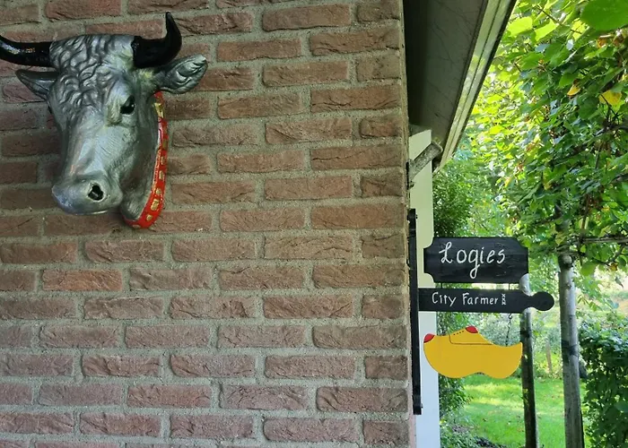 B&B: City Farmer Amsterdam A Guesthouse With Bikes , Bed & Breakfast And Free Parking