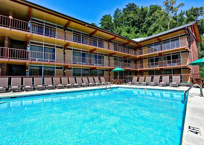 Motel: Wild Bear Inn