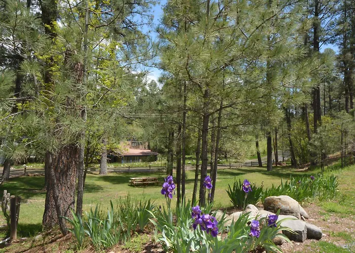 Upper Canyon Inn & Cabins