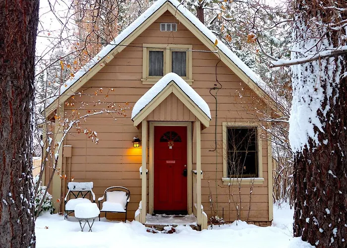 Cabin: Sleepy Forest Cottages
