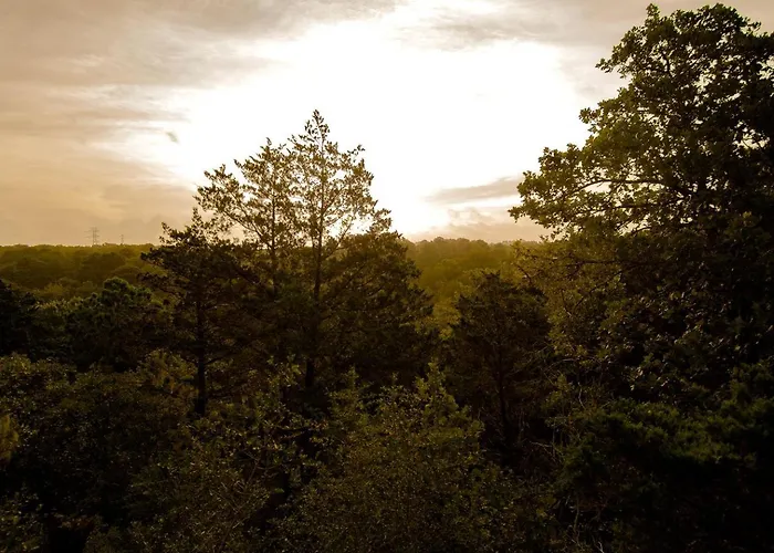 Gorgeous Glamping Yurt For A Unique Romantic Getaway Near Austin