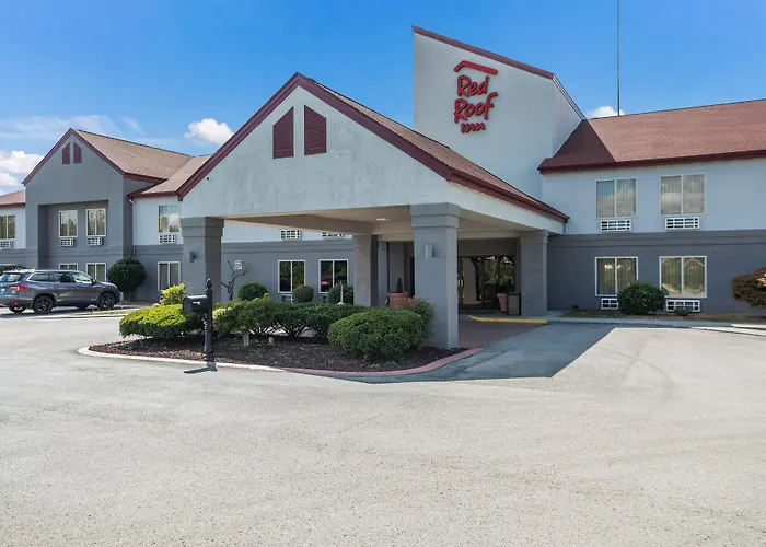 Motel: Red Roof Inn London I-75
