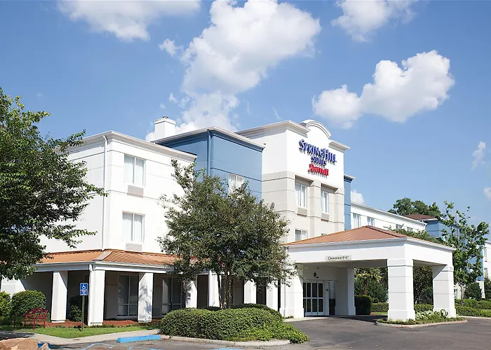 Cheap hotels Springhill Suites By Marriott Baton Rouge South
