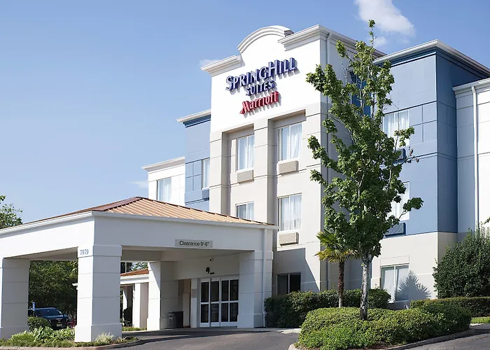 Cheap hotels Springhill Suites By Marriott Baton Rouge South