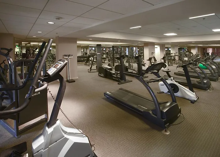 Hotel Ping Pong: Universal'S Loews Royal Pacific Resort