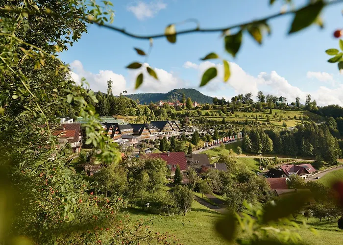 5-Sterne-Hotel: Hotel Dollenberg