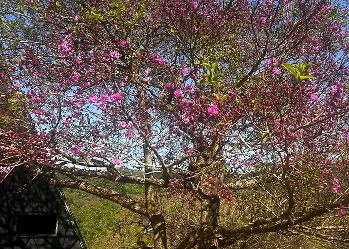 Chalé Mirante Morro dos Ventos