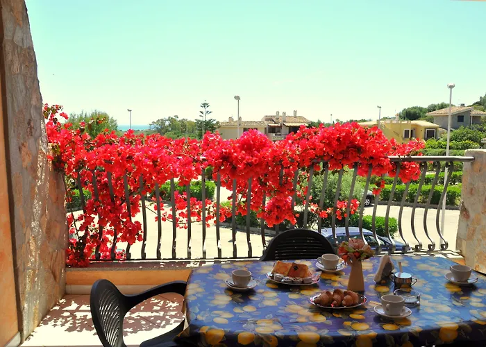 Palm Village