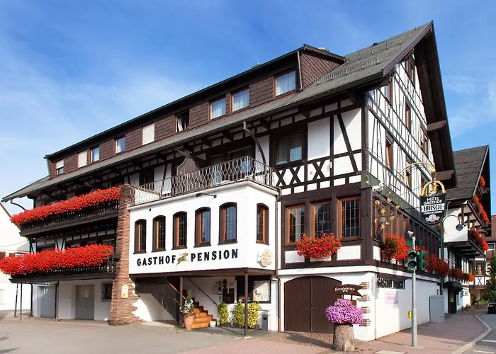 Hotel: Landgasthof Hotel Hirsch