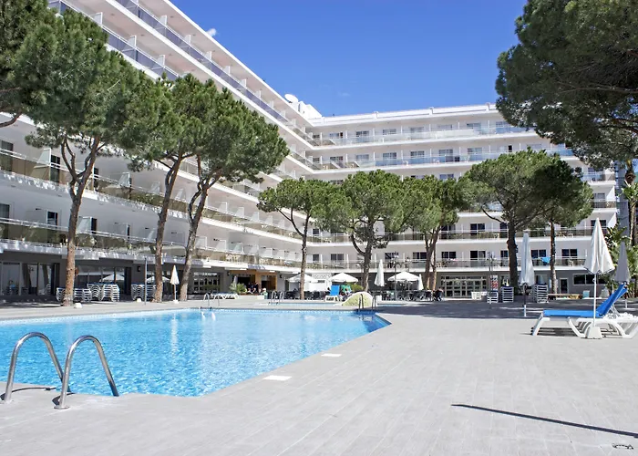 Hotel con piscina: Hotel Best Oasis Park