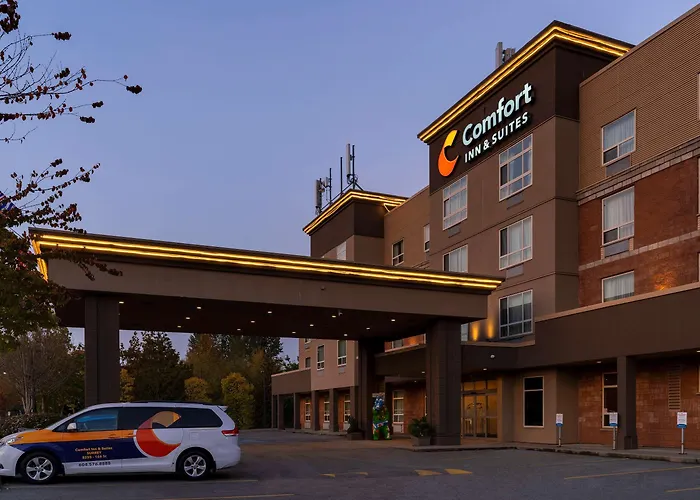 Resort: Comfort Inn & Suites