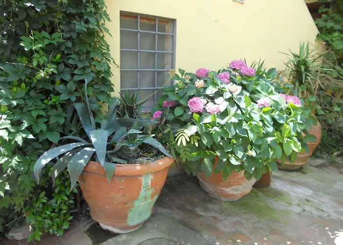 Agriturismo Le Macine