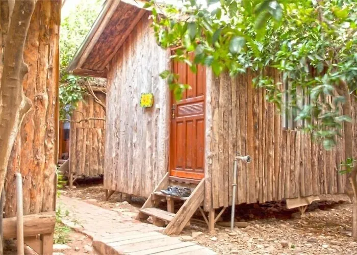 Hotel: Bayrams Tree Houses