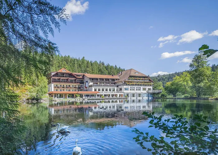 Langenwaldsee