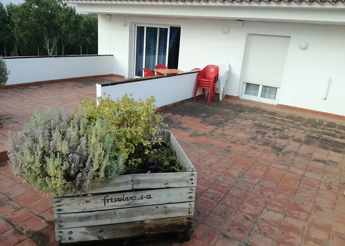 Hotel familiar: Hotel Platja D'Aro