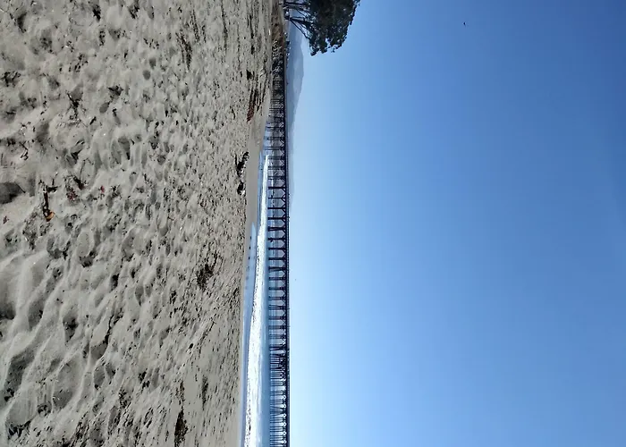 Beach Bungalow And Suites