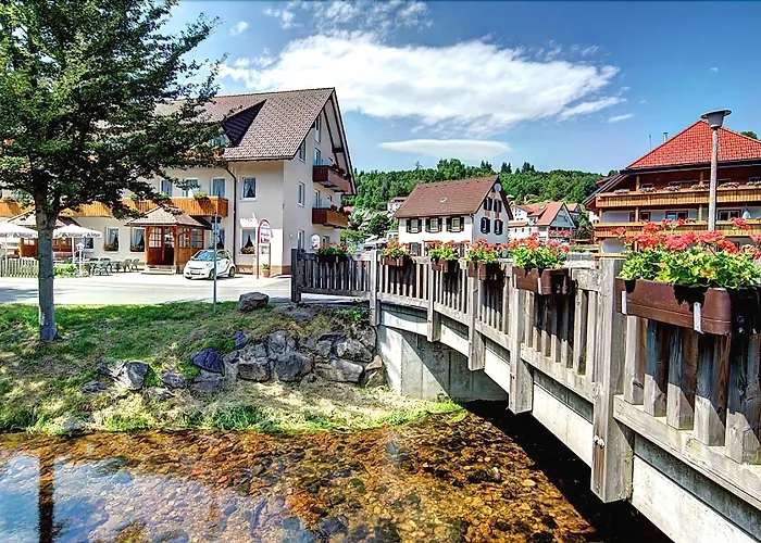 Günstiges Hotel: Hotel Restaurant Schwörer