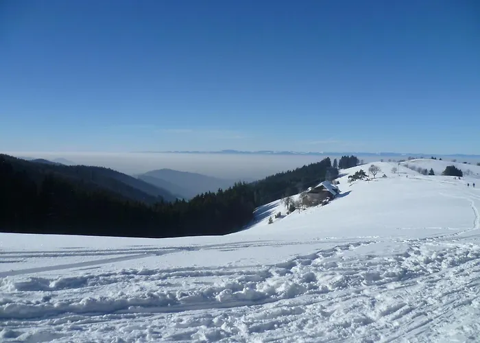 Appart' Lido Au Bord De L'Eau