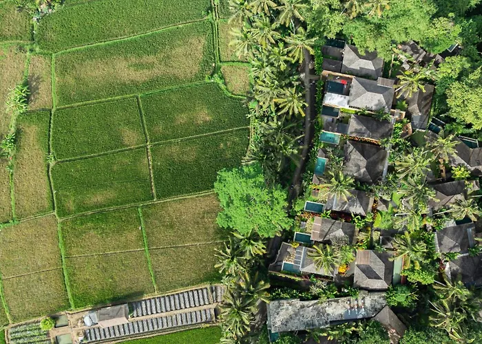 Temuku Ubud s